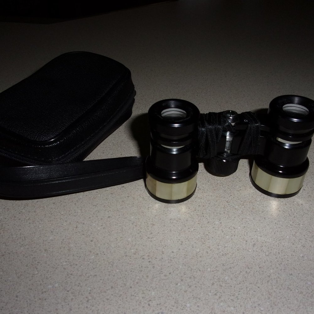OPERA GLASSES WITH CASE